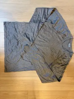 DIOR グレー 長袖Tシャツ ビー刺繍　エディスリマンのサムネイル
