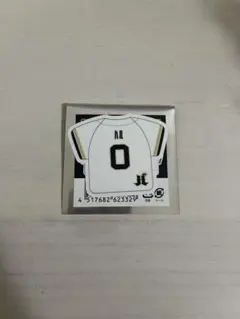 オリックスバファローズ 渡部遼人 ユニフォーム ニックネーム ハル o xl オリックス・バファローズ ニックネーム ステッカー 渡部遼人 ハル 0