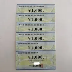 ビックカメラ　株主優待　お買物優待券