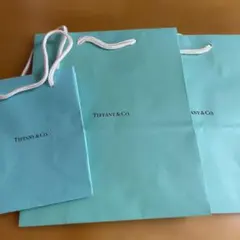 Item thumbnail for item 1bab7882-92e6-4357-acff-75a58dcbcc1d