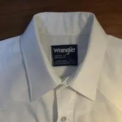 Item thumbnail for item 423115ec-ca5e-446c-be7c-4521e5143dcc