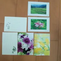 2025年最新】野村陽子 画の人気アイテム - メルカリ