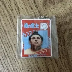 Item thumbnail for item 02e70941-dd68-4c1e-ac6a-8ab3967bad42