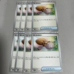 せいなるはい 8枚ノーマル