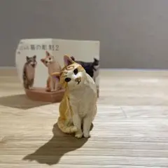 猫 フィギュア