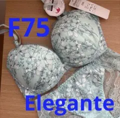 F75 Elegante 花柄刺繍　ブラジャー レースショーツ　ミントのサムネイル