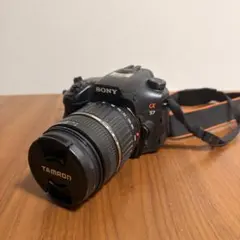 最終値下げ】SONY α65 ボディ + 標準・望遠Wレンズセット - メルカリ