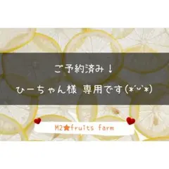 【ꕤ512】不知火デコ【訳あり品☆加工原料】10kg 熊本みかん