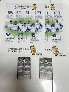 北海道日本ハムファイターズ 2026新人選手プロフィール　鎌ヶ谷試合日程2セットのサムネイル