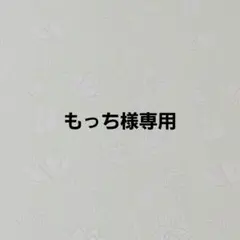 もっち様専用ページ