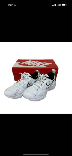 Nike エアハイツ