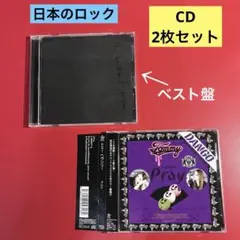 ザブリリアントグリーンCD3枚:日本のロックバンド川瀬智子トミー