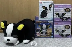ジョジョ JOJO イギーセット