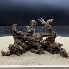 MMW-7664 マシンガンウッドレイアウトセット 流木 アクアリウム - メルカリ