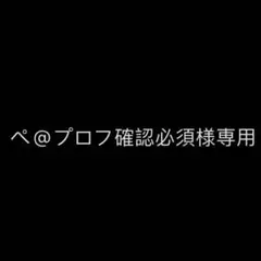 ぺ@プロフ確認必須様 リクエスト 2点 まとめ商品