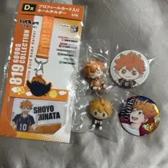 ハイキュー!! 日向翔陽 グッズ5点セット