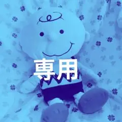 チャーリーブラウン SNOOPY ぬいぐるみ 460cc DR 適応サイズ