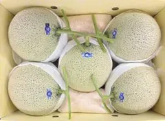 高知産大玉マスクメロン5玉入10.3キロ（箱込み） - メルカリ