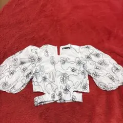 花柄刺繍パフスリーブ半袖トップス