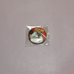 ステイン オールスター 全サ Petit 缶バッジ ヒロアカのサムネイル