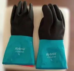 Item thumbnail for item ba57bd7f-ab89-48fb-b05f-2a0b084592c9