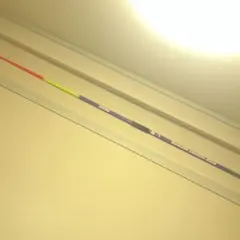 Item thumbnail for item f1842996-fd05-4b68-8931-f8ffc0c340db