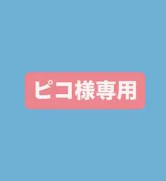 ピコ様専用 ツルヤ りんごかりんとう 4袋セット 信州産りんごピューレ使用