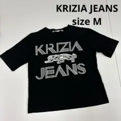 古着女子　90s Tシャツ　カットソー　ロゴ　虎　フェアリーグランジ　オールドのサムネイル