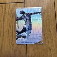 ハイキュー バボカ 牛島若利 頂P