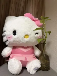 ハローキティ ぬいぐるみ ピンクドレス (新しい) - メルカリ