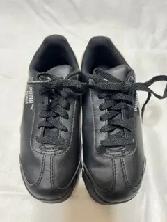 Item thumbnail for item f43f7893-3c3a-4ad7-9a72-1d4dfedebf5f