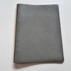 Item thumbnail for item 3aa01716-038a-454b-a664-97c3d5fff6ab