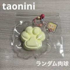 【早い者勝ち】taonini タオニニ ツルツル　もちもち　肉球