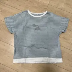 半袖Tシャツ 恐竜 ボーダー 男の子 120