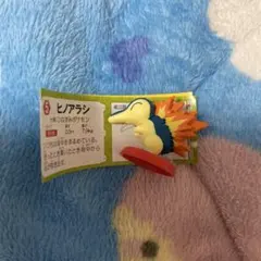 ZOE様専用　ポケモン　チョコエッグ　ヒノアラシ（専用ページ1週間だけ待ちます）