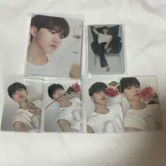 seventeen ホシ 17 is right here carat盤