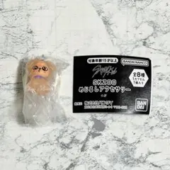 Stray Kids スキズ skzoo めじるしアクセサリー パピーム