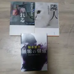 女性作家・サスペンス3冊セット