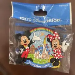 2025年最新】ミッキーマグネットの人気アイテム - メルカリ