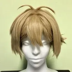 ✠朝倉 シン ウィッグ✠セット済 SAKAMOTODAYS - メルカリ