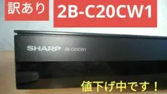 ㊟訳有➡要修理「録画機能に問題有」2B-C20CW1/本体とカード/電源コード付 ㊟訳有➡要修理「録画機能に問題有」2B-C20CW1/本体とカード/電源