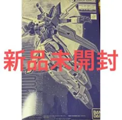 MG 1/100 GX-9900 ガンダムX 3号機 機動新世紀ガンダムX