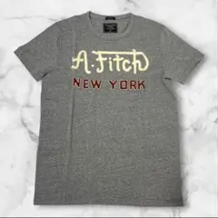 【アバクロンビー＆フィッチ】メンズ　トップス　半袖　グレー　XSサイズ