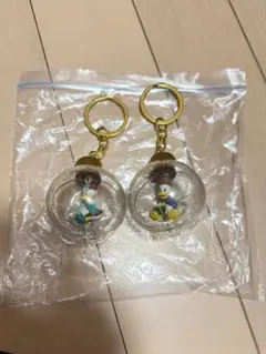 ディズニー ドナルド＆デイジー スノードーム風キーホルダー