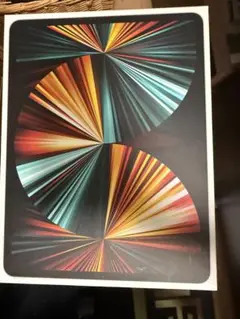 iPad pro 12.9インチ　第5世代 256GB M1