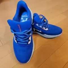 ナイキ　エアズームペガサス41　27.5