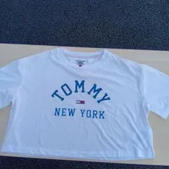 Item thumbnail for item 6869d64f-d37f-4d9a-acd7-06be1ea02b41