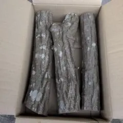 Item thumbnail for item 992882da-0245-4cb1-b94a-d0d9baa22139