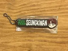 SEVENTEEN 一番くじ ラバーチャーム SEUNGKWAN スングァン