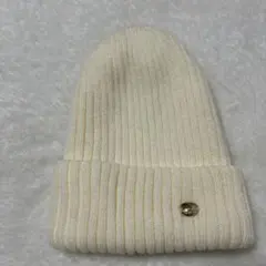 Item thumbnail for item 68087db8-bb71-4467-b1f8-ed326d3913f4